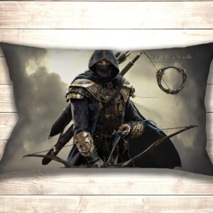 Подушка 3D The Elder Scrolls Online Rogue Assasin