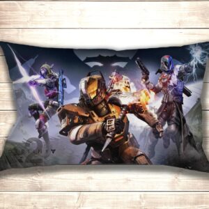 Подушка 3D Destiny 2