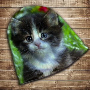 Шапка з 3D принтом-Кошеня в кошику Всі розміри