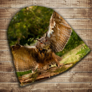 Шапка з 3D принтом-Гордий філін. Унікальний принт Всі розміри. Всі сезони ВСІ Розміри