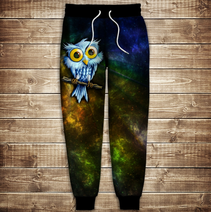 Штани з 3D принтом на тему: Сови. Космічний пугач. Дитячі і Дорослі розміри ВСІ Розміри Преміум тканина