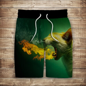 Шорти з 3D принтом на тему: Котик дихає вогнем ВСІ Розміри