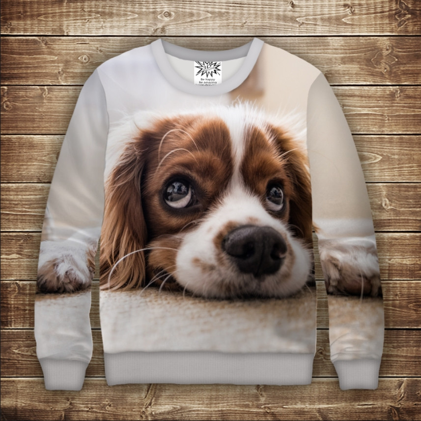 Світшот з 3D принтом Пес з великими очима ВСІ Розміри Преміум тканина