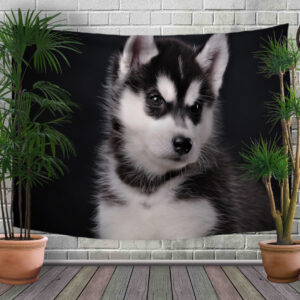 Панно - тапестри (гобелен) с 3D принтом Цуценя Хаски
