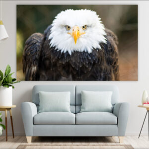 Панно настінне гобелен тапестрі з принтом "Білоголовий орлан