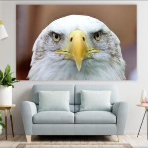 Панно настінне гобелен тапестрі з принтом "Білоголовий орлан