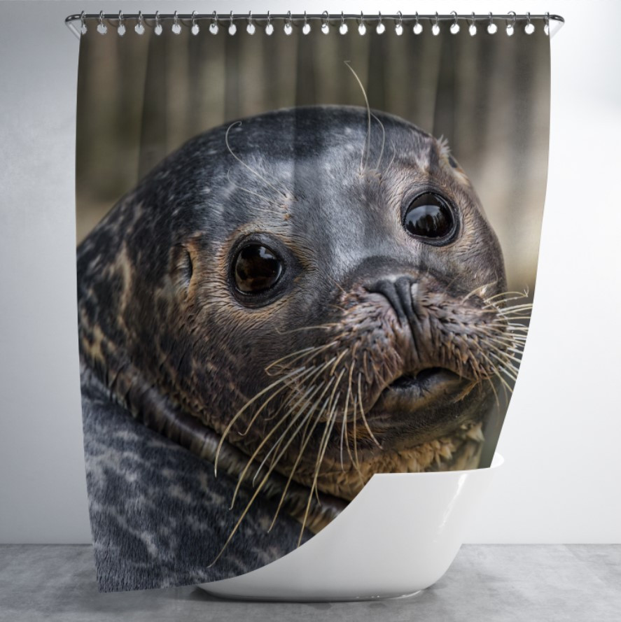 Штора для ванної з принтом "Тюлень