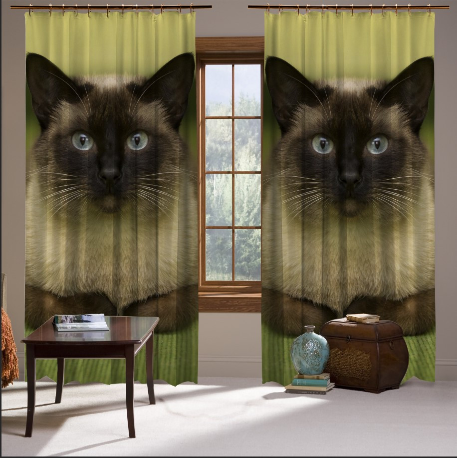 Штори з принтом Сіамський кіт кішка погляд зелений килим