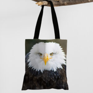 Сумка шопер еко "Білоголовий орлан орел птах дзьоб пір'я"