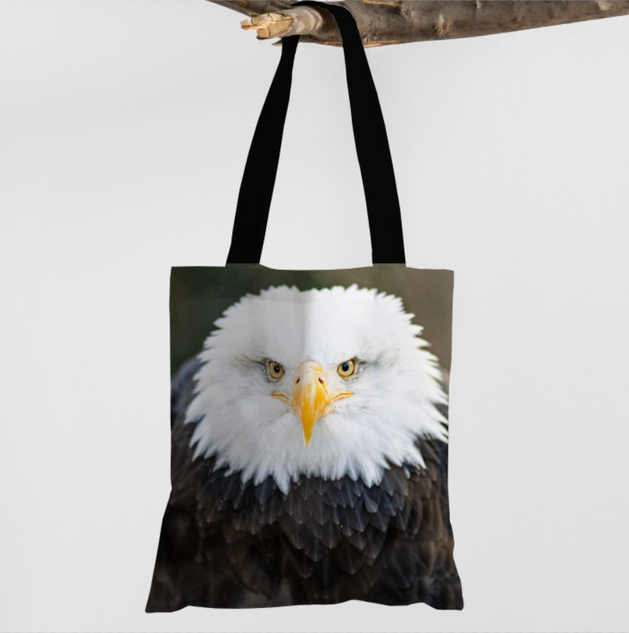 Сумка шопер еко "Білоголовий орлан орел птах дзьоб пір'я"