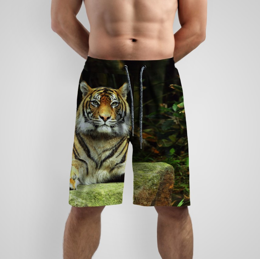 Шорти з принтом "Тигр кішка хижак тварина" ВСІ Розміри