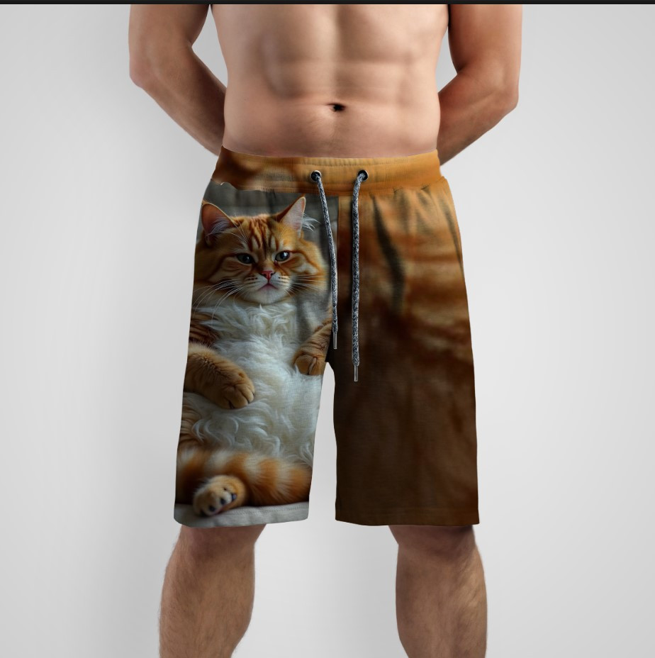 Шорти з принтом "Рудий котик пузатик кумедний" ВСІ Розміри