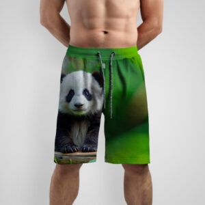 Шорти з принтом "Панда з рослиною 2" ВСІ Розміри