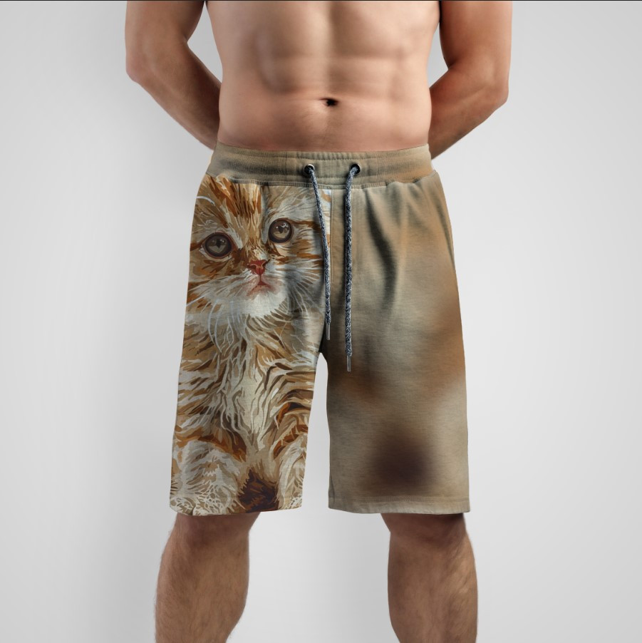 Шорти з принтом "Мальований рудий кіт" ВСІ Розміри