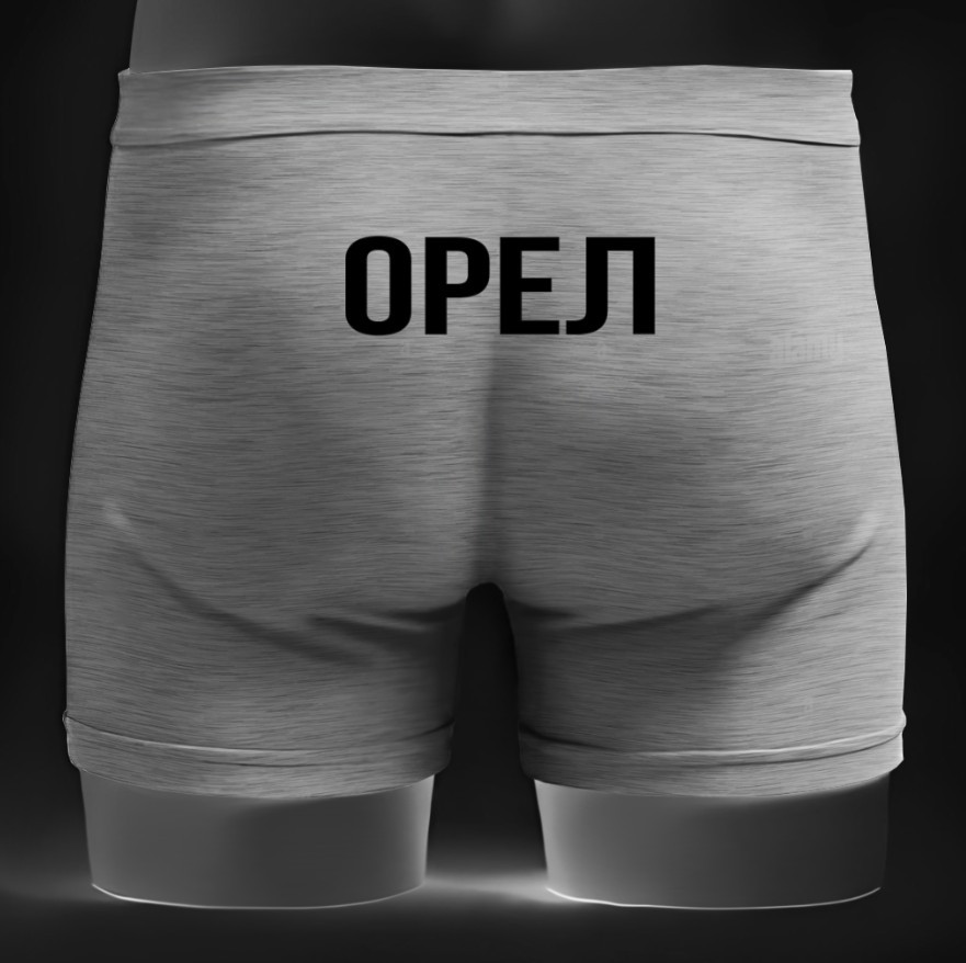 Чоловічі труси - боксери напис орел прикол ВСІ Розміри Преміум тканина