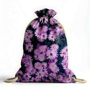 Рюкзак мішок "Айстри квіти"