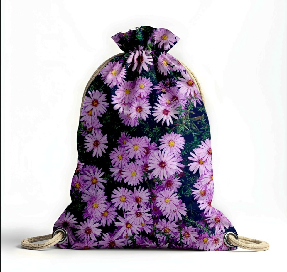 Рюкзак мішок "Айстри квіти"