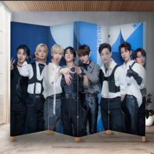 Декоративний екран ширма з принтом "Stray Kids страй кідс гурт група музика"