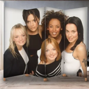 Декоративний екран ширма з принтом "Spice Girls спайс герлс музика гурт"