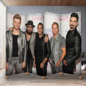 Декоративний екран ширма з принтом "Backstreet Boys бекстріт бойс музика гурт"