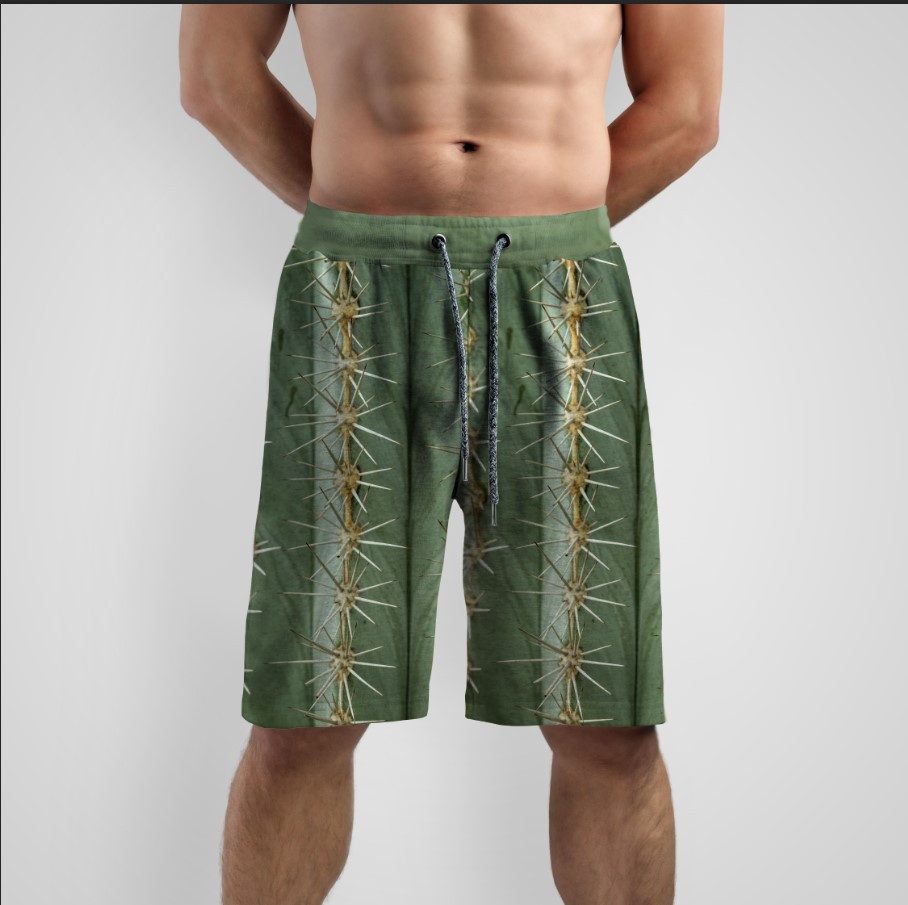 Шорти "Текстура кактуса голки рослина" ВСІ Розміри