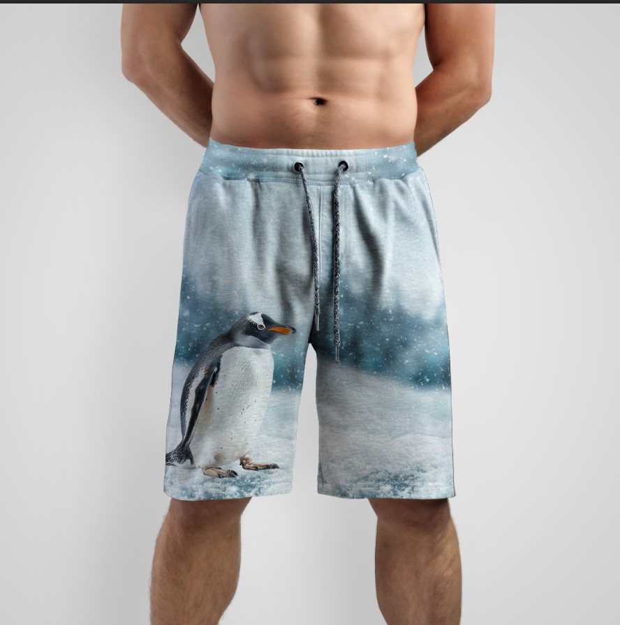 Шорти "Пінгвін зима сніг" ВСІ Розміри