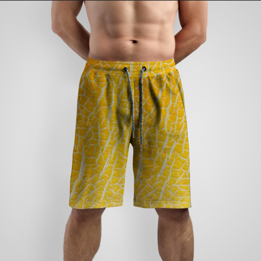 Шорти "Диня жовта текстура корка" ВСІ Розміри