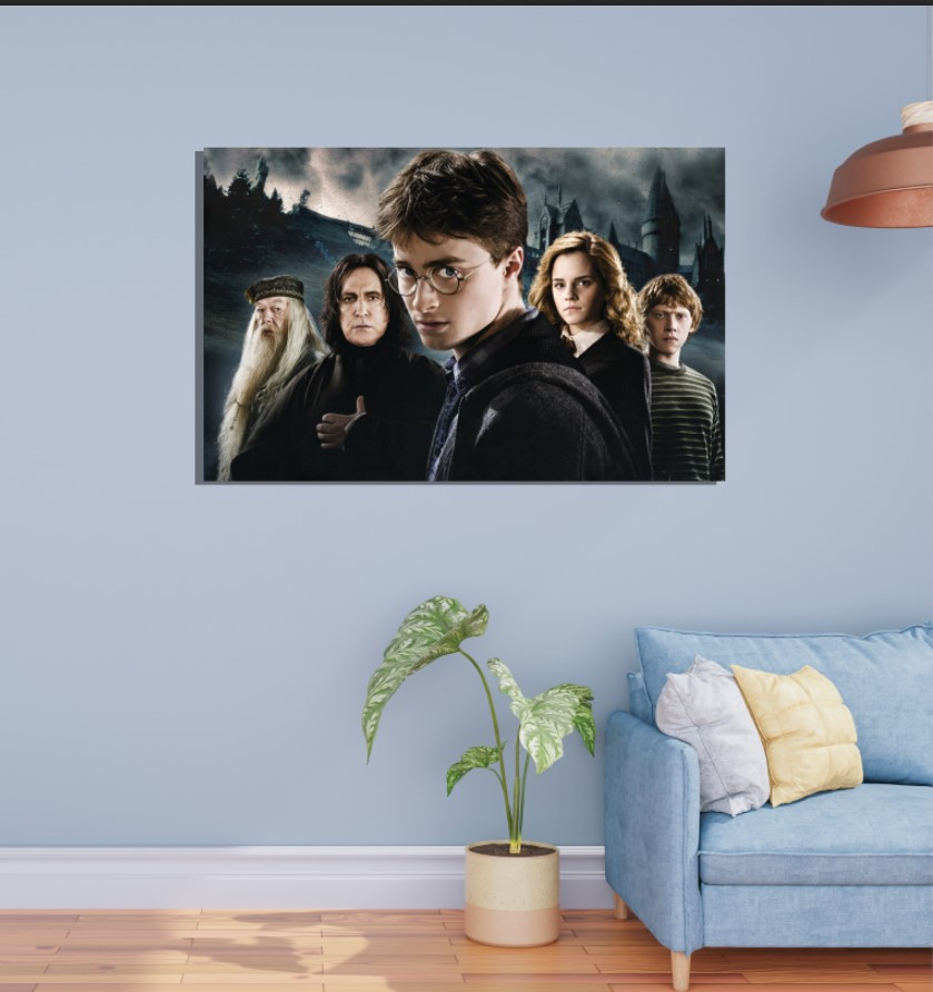 Картина в рамі "Гаррі Поттер персонажі фільм рон герміона 1" панно