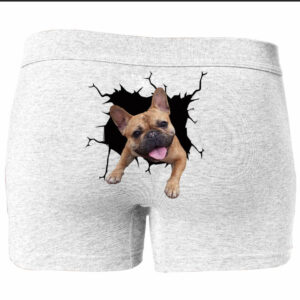 Труси боксери плавки чоловічі "песик вилізає з отвору" ВСІ Розміри Преміум тканина