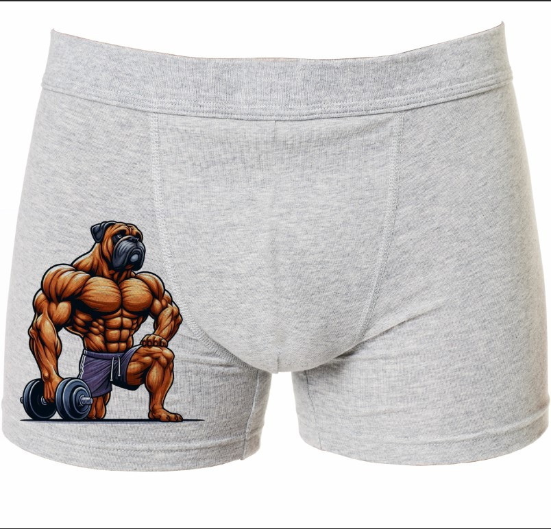 Труси боксери плавки чоловічі "накачаний собака фітнес 1" ВСІ Розміри Преміум тканина
