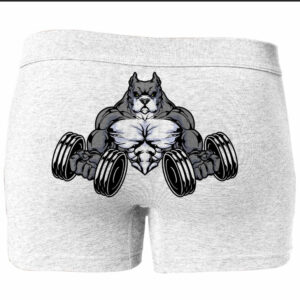 Труси боксери плавки чоловічі "накачаний собака фітнес" ВСІ Розміри Преміум тканина