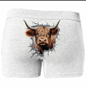 Труси боксери плавки чоловічі "бик вилізає з отвору" ВСІ Розміри Преміум тканина