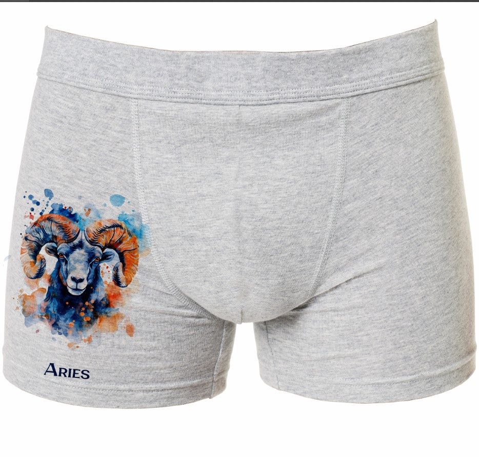 Труси боксери "Овен знак зодіаку 1" ВСІ Розміри Преміум тканина