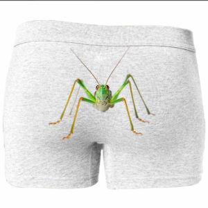 Труси боксери "Коник зелений сарана" ВСІ Розміри Преміум тканина