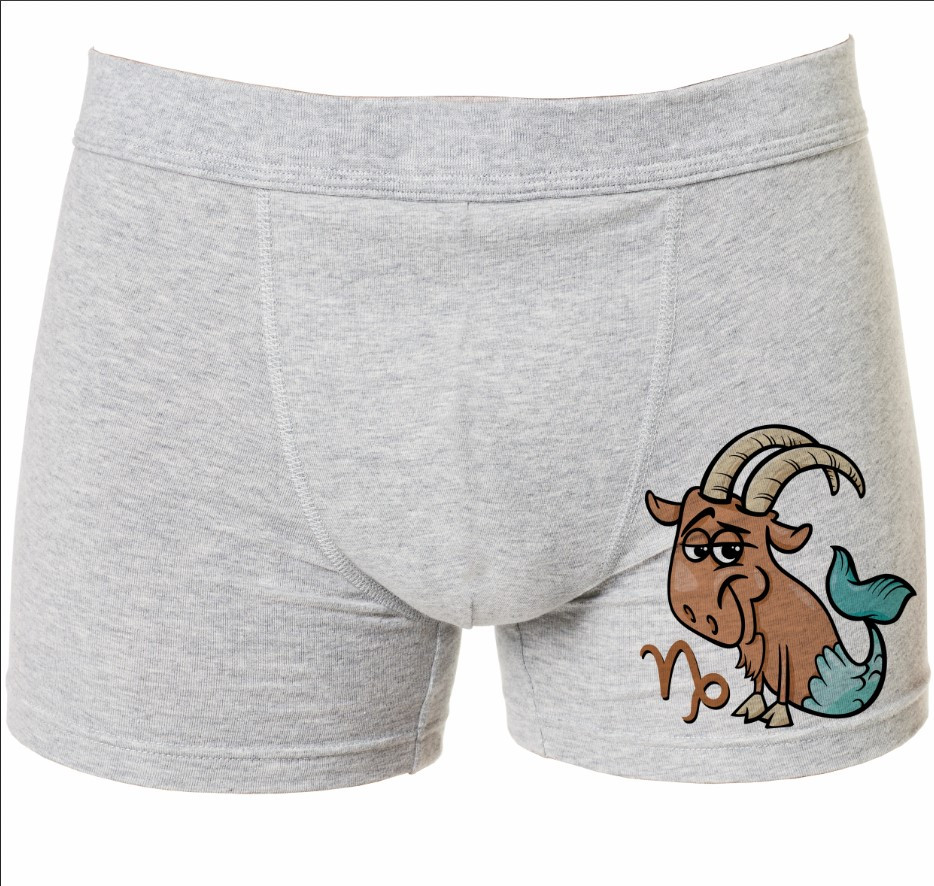 Труси боксери "Козеріг знак зодіаку" ВСІ Розміри Преміум тканина