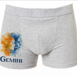 Труси боксери "Близнюки знак зодіаку" ВСІ Розміри Преміум тканина