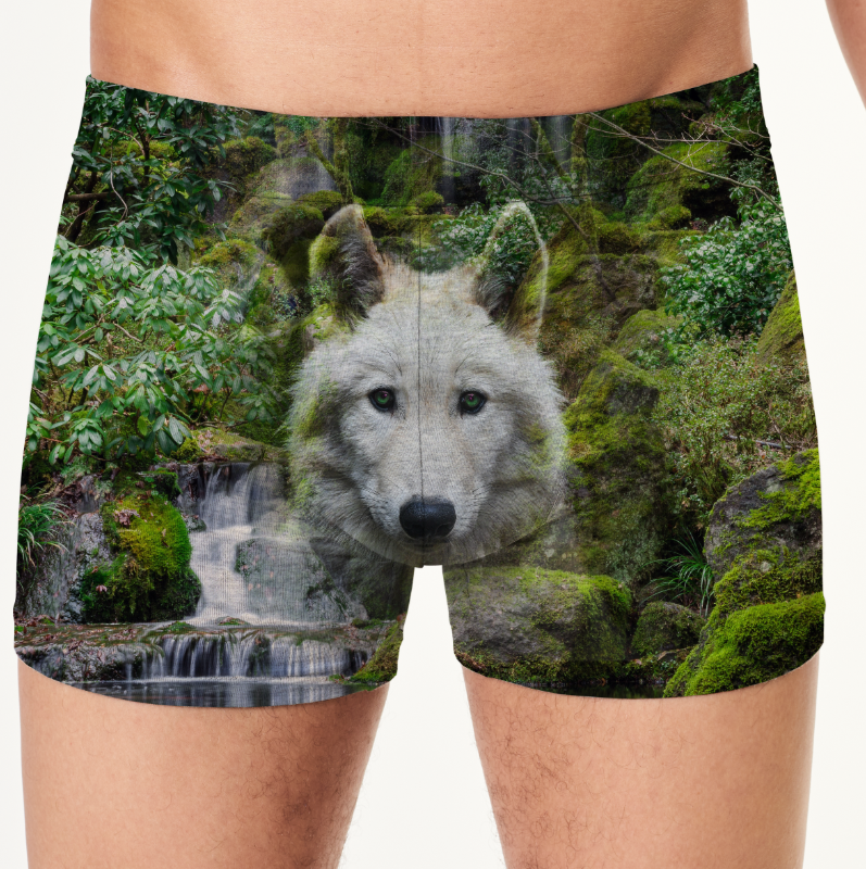 Труси боксери чоловічі Морда вовка тварина хижак білий ліс ВСІ розміри Преміум тканина