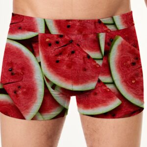 Труси боксери чоловічі З кавунами фруктами ВСІ розміри Преміум тканина