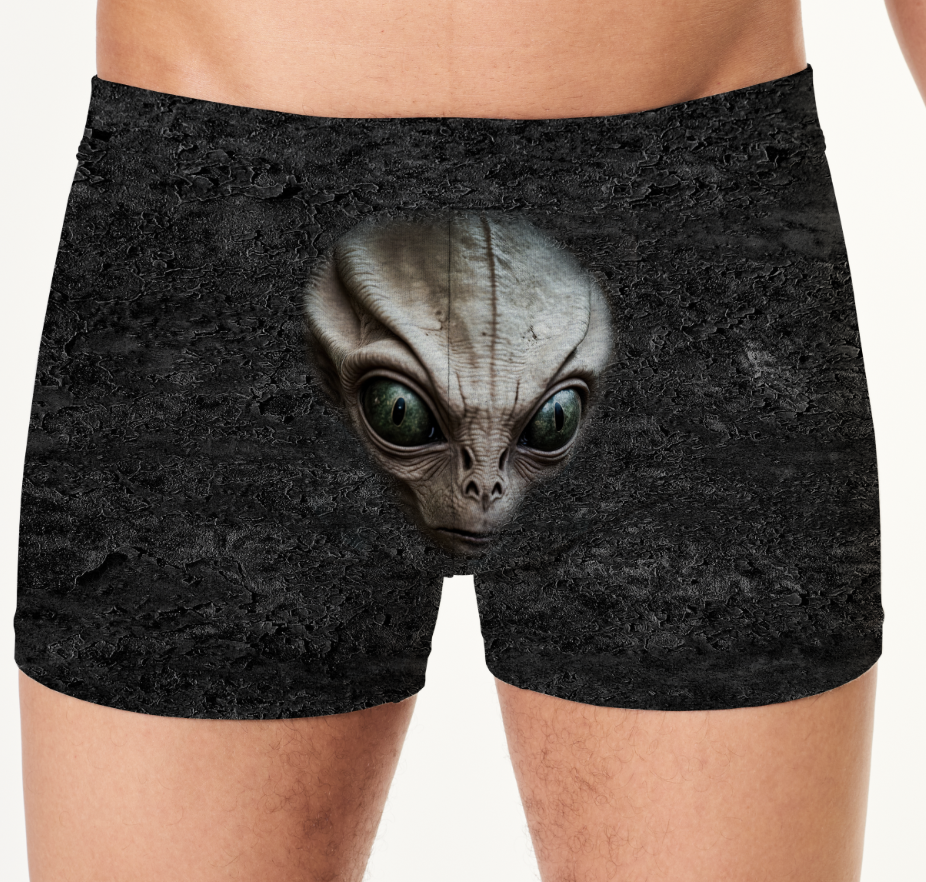 Труси боксери чоловічі Голова прибульця НЛО ВСІ розміри Преміум тканина