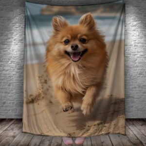 Плед Шпіц собака погляд портрет на пляжі 150х200 см