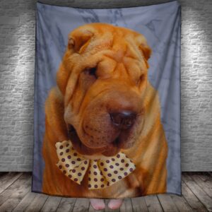 Плед Шар пей собака погляд 2 150х200 см