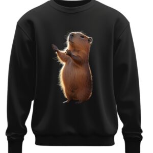 Світшот Капібара мила прикольна тваринка оверсайз унісекс Преміум тканина