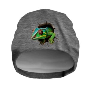 Шапка біні "Хамелеон ящірка вилазить з дірки" унісекс з принтом ВСІ розміри