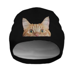 Шапка біні "Погляд рудого кота кішки" унісекс з принтом ВСІ розміри