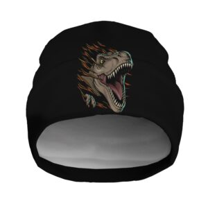 Шапка біні "Динозавр вилазить з отвору 1" унісекс з принтом ВСІ розміри