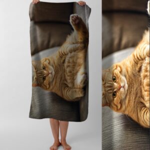 Рушник Товстий рудий котик з пузом на дивані