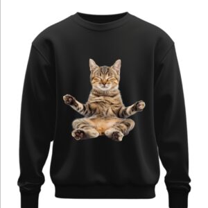 Світшот Кіт медитує прикол йога оверсайз унісекс ВСІ розміри Преміум тканина