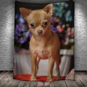 Плед Чихуахуа собака тваринка портрет 150х200 см