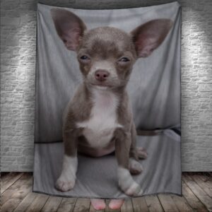 Плед Чихуахуа собака тваринка 2 150х200 см