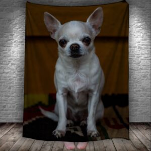 Плед Чихуахуа собака тваринка 150х200 см